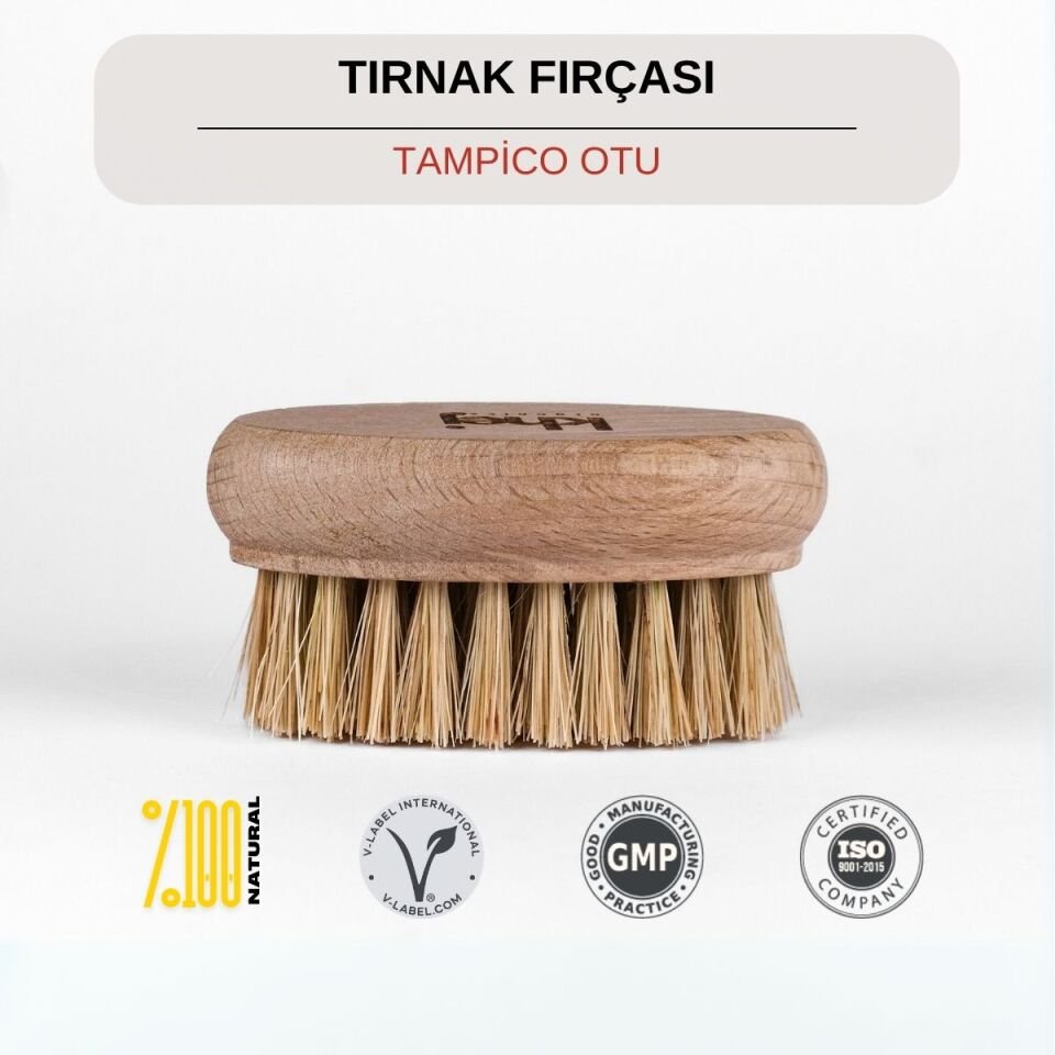 Tırnak Fırçası Tampico Otu